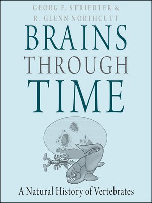 cover image of Brains Through Time